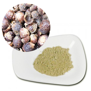 ǰ 