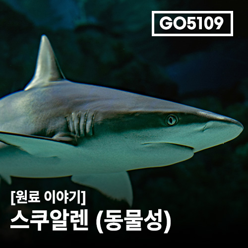 상품 섬네일