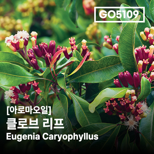상품 섬네일