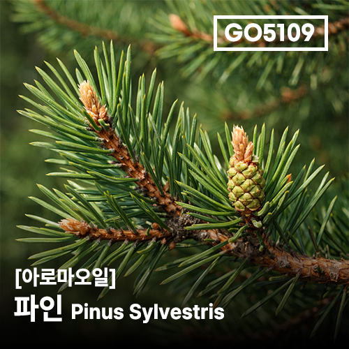 상품 섬네일