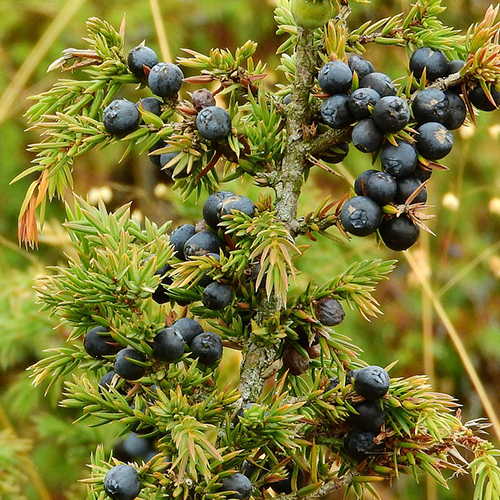 »óǰ ¼¶³×ÀÏ »óǰ ¼¶³×ÀÏ