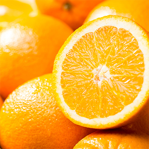 »óǰ ¼¶³×ÀÏ »óǰ ¼¶³×ÀÏ