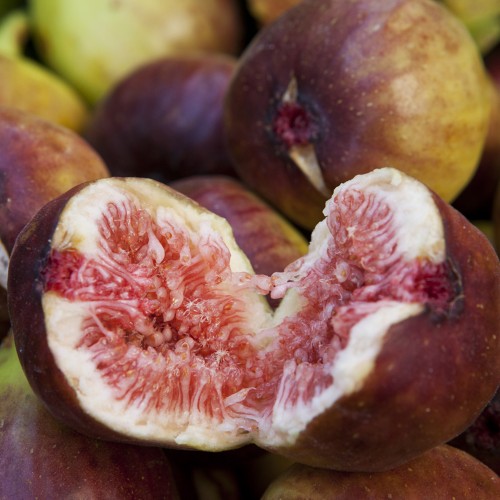 »óǰ ¼¶³×ÀÏ »óǰ ¼¶³×ÀÏ