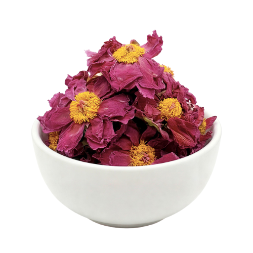 »óǰ ¼¶³×ÀÏ »óǰ ¼¶³×ÀÏ